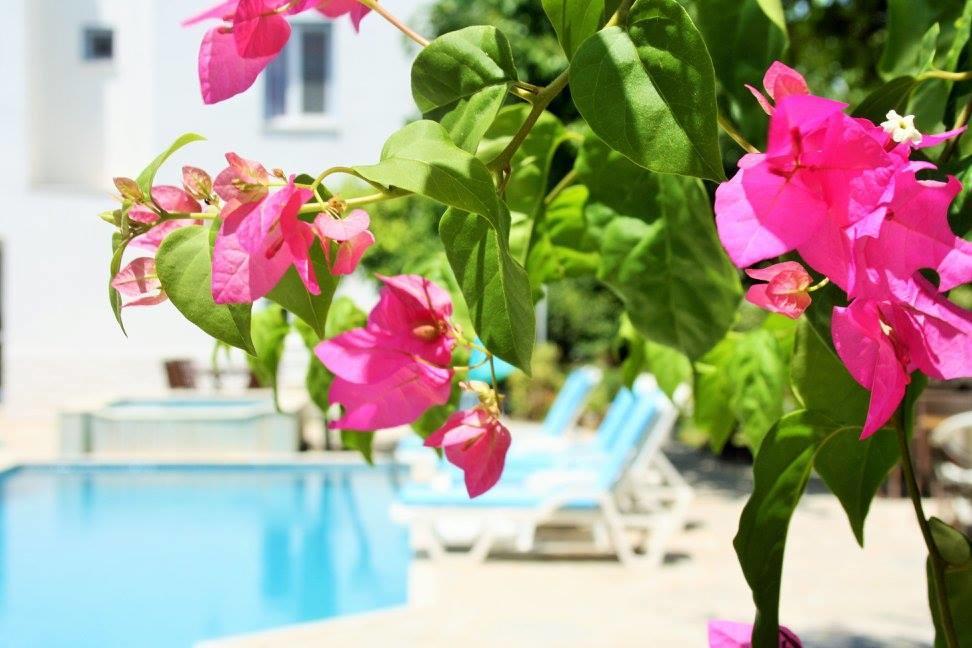 Parla Apart Hotel Чешме Екстер'єр фото
